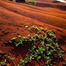 EA官宣《黑豹》游戏 前《中土世界》总裁领导开发